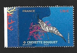 France 2022 - Yv N° 5556 ** - Crevette Bouquet - Neufs