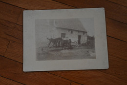 Photo Chevaux Devant Une Ferme, Albuminée Contre Collée, Format 17/12 - Alte (vor 1900)