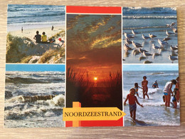 Noordzeestrand - Other & Unclassified