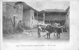 63-PAYSAN PARTANT POUR LE LABOUR - Auvergne Types D'Auvergne