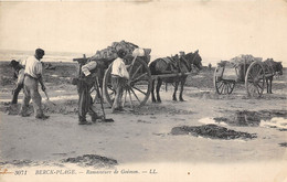 62-BERCK-PLAGE- RAMASSEURS DE GOÉMON - Berck