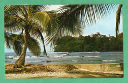 Costa Rica Portele Puerto Limon Fotografiado Por Eugenio Vargas ( Formato 8,7cm X 14cm ) - Costa Rica
