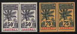 Dahomey N°28/29* En Paire Cote 118€. - Unused Stamps