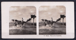 ORIGINAL STEREO PHOTO EGYPT CAIRO 1904 - PHOTO STEGLITZ  BERLIN - Chemin Vers Les Pyramides - RARE ! - Ancianas (antes De 1900)