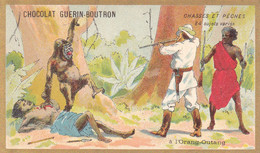 Chromo CHOCOLAT GUERIN BOUTRON - Chasses Et Pêches à L' Orang Outang - Guerin Boutron