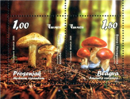 BOSNIA BOSNIE BOSNIEN 2020 Mushrooms Champignons Pilze  Bloc/miniature Sheet/Block, Neuf/mint/ungestemp. - Funghi