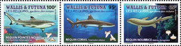 Wallis & Futuna - 2021 - Ocean Sharks - Mint Stamp Set (se-tenant Strip) - Nuevos