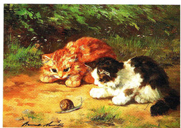 Chats - Kittens -katzen - 2 Poesjes En Slak - Katten
