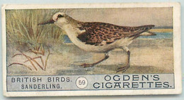 CARTE CIGARETTES  OGDEN'S - BRITISH BIRDS - OISEAUX - " SANDERLING " - TRES BON ETAT - Ogden's
