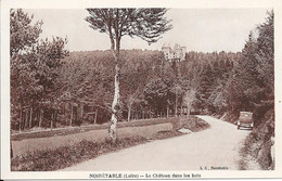 Noirétable - Le Château Dans Les Bois - Noiretable