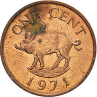 Monnaie, Bermudes, Cent, 1971 - Bermudas