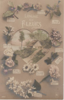 LANGAGE DES FLEURS (Au Centre : Chaumière Dans Coeur) Série K   // N° 362 - Autres & Non Classés