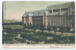 Leuven - Louvain - Institut Du Sacré-Coeur Et De L'Immaculée Conception, à Hévérlé (Louvain) - 1905 - Leuven