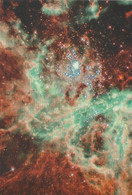 New Postcard - Archives Of Nasa - R136 In The Tarantula Nebula - New - Astronomie