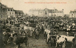 Malestroit * 1907 * Le Champ De Foire , Marché Aux Bestiaux , Couvent Des Augustines - Malestroit