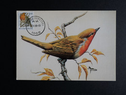 Buzin Max Kaart Roodborstje - 1985-.. Birds (Buzin)