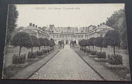 Beloeil - Le Château - La Grande Allée (Edit. Georges Dath) - Beloeil