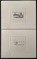 SAINT PIERRE & MIQUELON 1996 ARTIST PROOF + NEGATIVE " BIRDS- LE COURLIS" - Geschnittene, Druckproben Und Abarten