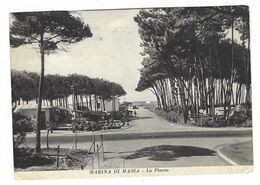 7171 - MARINA DI MASSA LA PINETA ANIMATA 1950 CIRCA - Massa