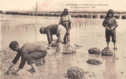 33-ANDERNOS--LES-BAINS-LA PÊCHE AUX HUÎTRES - Andernos-les-Bains