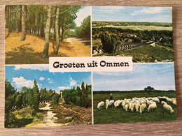 Nederland. Pays-Bas. Holland. Groeten Uit Ommen - Ommen