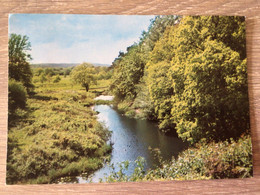 Nederland. Pays-Bas. Holland. Camping Bergzicht. Lemelerberg. Ommen - Ommen