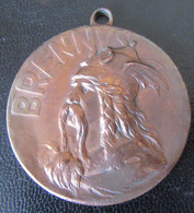 France - Belle Médaille BRENNUS / VERCINGETORIX En Cuivre - Diam. 40mm, Poids : 28,85 Grammes - Professionnels / De Société