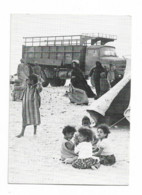 CAMPS DE REFUGIES SAHRAOUIS - Western Sahara