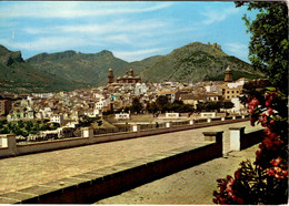 JAEN - Vista Parcial Desde La Alameda De Calve - Jaén