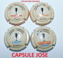 NEWS - SERIE DE 4 CAPSULES DE CHAMPAGNE - GENERIQUE "Collection Cépages" - Colecciones