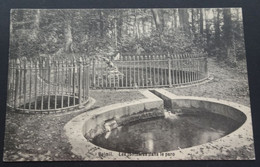 Beloeil - Les Fontaines Dans Le Parc - Beloeil