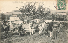 60 - OISE - SONGEONS - Concours Agricole Du 16 Juin 1907 - Superbe (11471) - Songeons