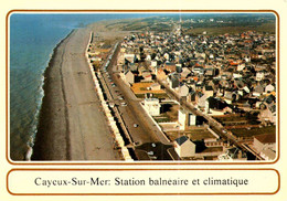 [80] Somme > Cayeux Sur Mer / TRAIT CAUSE  SCAN  // / 96 /// - Cayeux Sur Mer