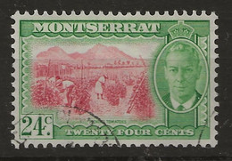 Montserrat, 1951, SG 131, Used - Montserrat