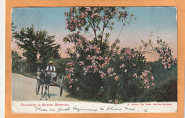 Bermuda Old Postcard Mailed - Bermuda