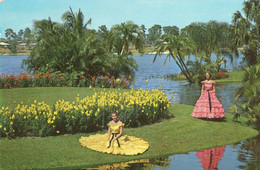 BLOSSOM TIME , THAUSANDS OF TROPICAL BLOSSOMS , FLORIDA - Naples