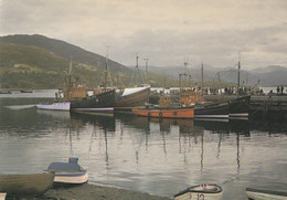 Postcard Loch Broom Ullapool Ross-Shire The Fishing Fleet Attracts Visitors To The Pier My Ref B25339 - Ross & Cromarty