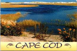 Massachusetts Cape Cod Seaside Garden 1996 - Cape Cod