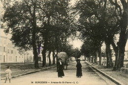 Surgères * Avenue De St Pierre * Villageois - Surgères