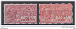REGNO:  1927/28  POSTA  PNEUMATICA  -  S. CPL. 2  VAL. N. -  SASS. 12/13 - Correo Neumático