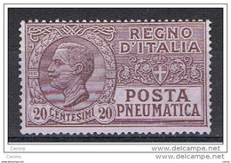 REGNO:  1925  POSTA  PNEUMATICA  -  20 C. VIOLETTO  BRUNO  S.G. -  SASS. 8 - Rohrpost