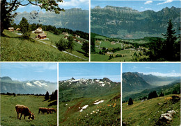 In Den Flumserbergen - 5 Bilder (2375) * 20. 7. 1970 - Flums