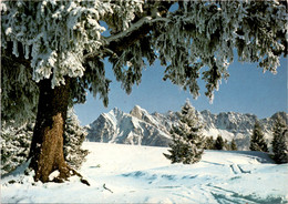 Flumserberge: Blick Auf Sichelcham Und Gamsberg (960) * 22. 3. 1980 - Gams