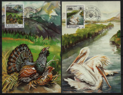 3828 Yugoslavia 1992 European Nature Protection MC - Maximumkarten