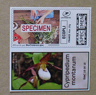 MTEL 20 : Orchidée - Cypripedium Montanum (autocollant / Autoadhésif) - Otros & Sin Clasificación