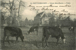 Lamotte Beuvron * 1905 * Colonie St Maurice , Prairie - Lamotte Beuvron