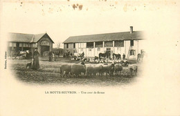 Lamotte Beuvron * Une Cour De Ferme * Scène Agricole Agriculture Paysans - Lamotte Beuvron