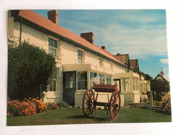 Falkland Islands --- Port Stanley - Isole Falkland