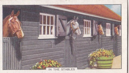 Racing Scenes 1938 - 7 In The Stables  - Gallaher Cigarette Card - Original - Horses - Gallaher