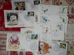 Lot De 6 Premiers Jours Et 2 Enveloppes Exposition Canine Internationale - Cartas & Documentos